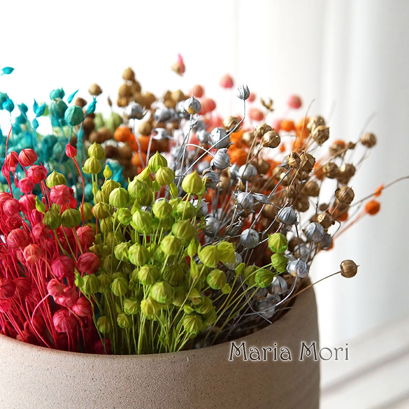 5g/Preserved Flax Bean Natural - огляд і ціна Dried Flower Bulk