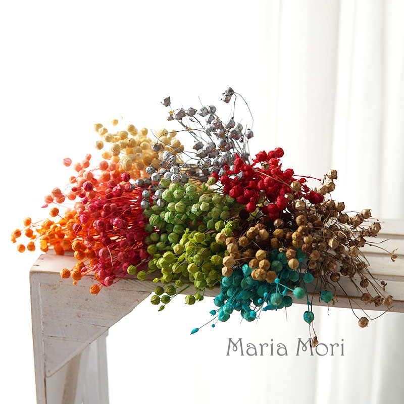 5g/Preserved Flax Bean Natural - огляд і ціна Dried Flower Bulk