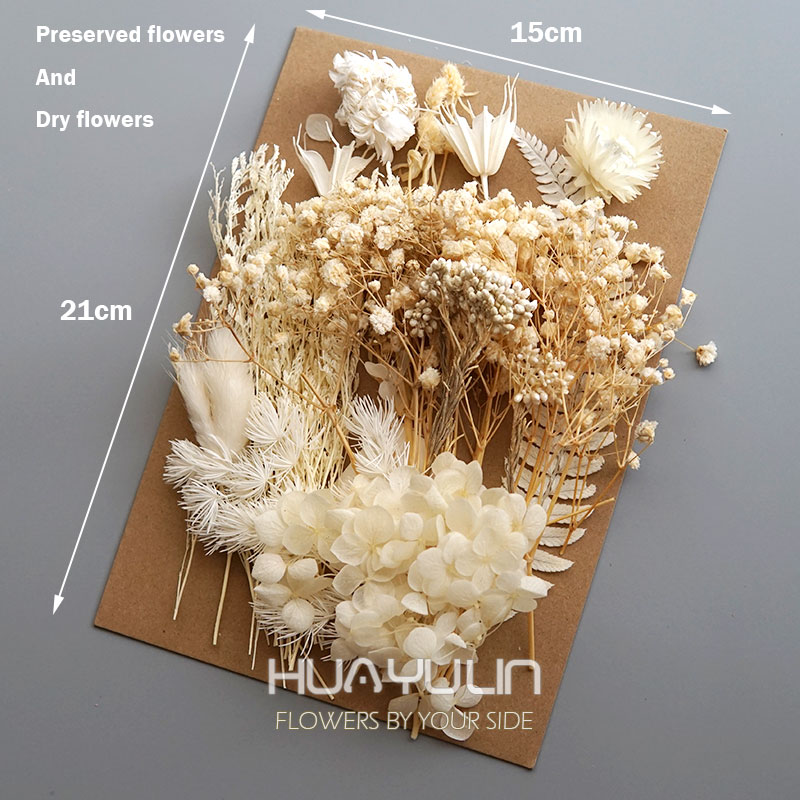 1 Pack Artificial Plants Dried - огляд і ціна Dried Flower Bulk